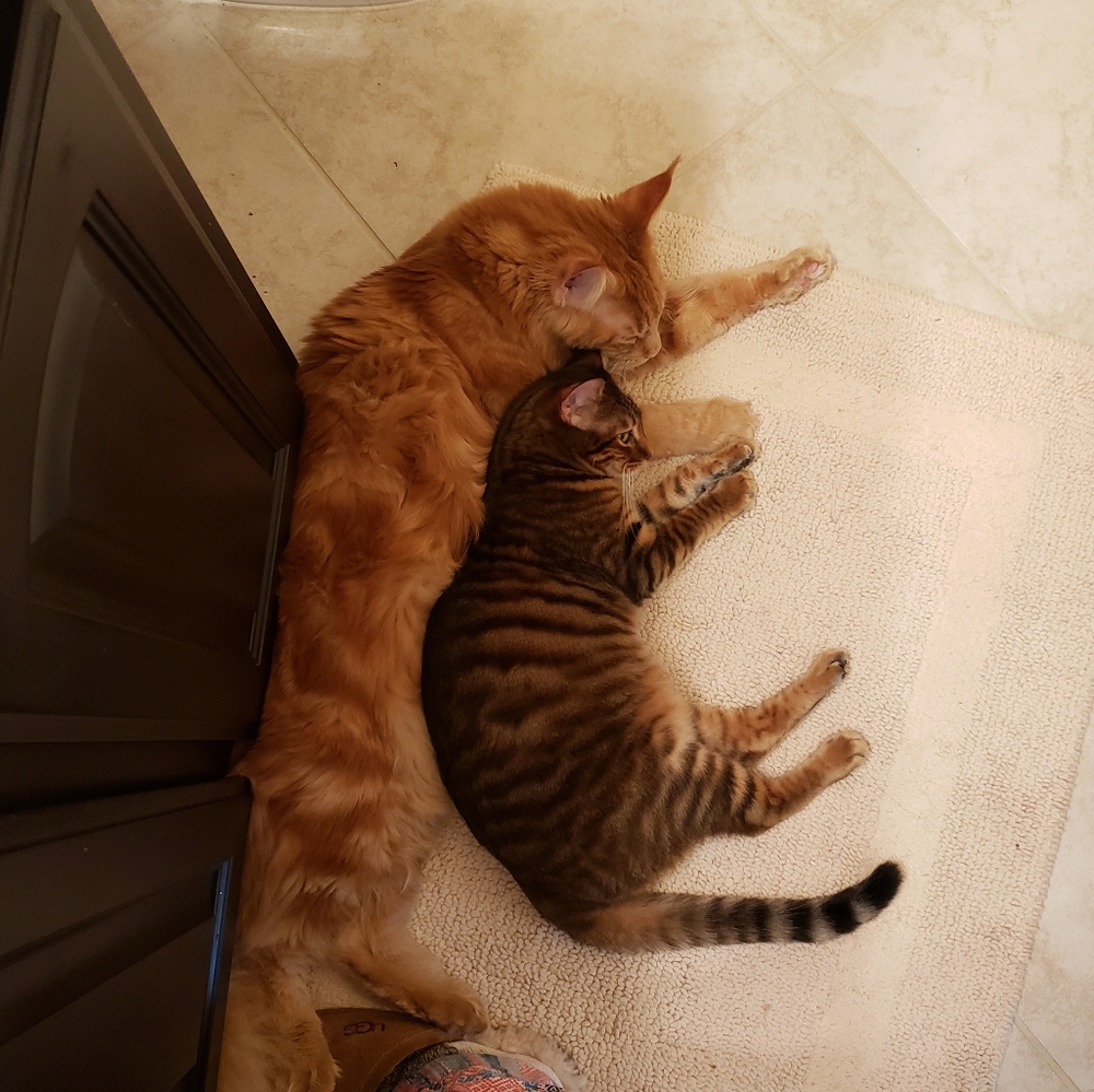 Love ❤️ Notes - Picture 12 of 16